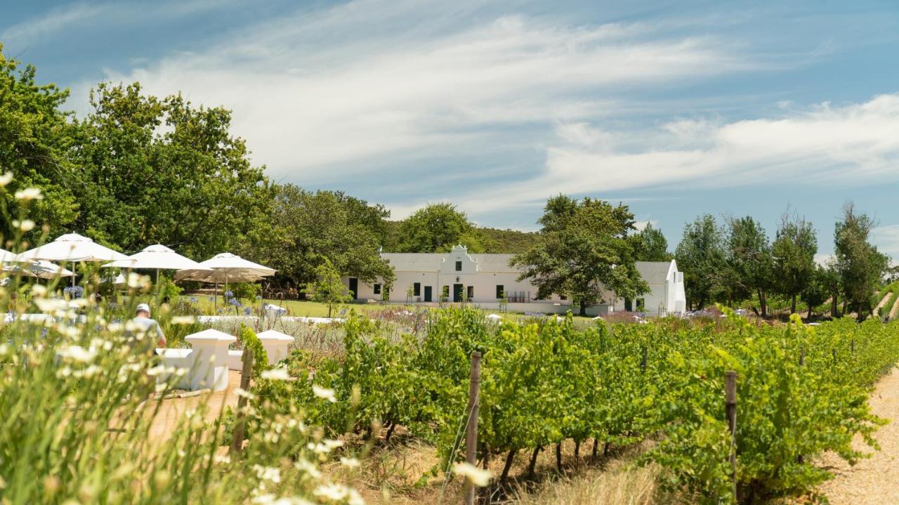 Plaisir Estate Accommodation Simondium Zewnętrze zdjęcie